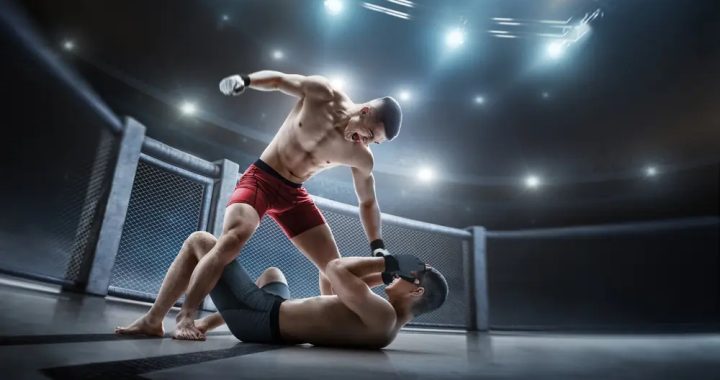 MMA odds
