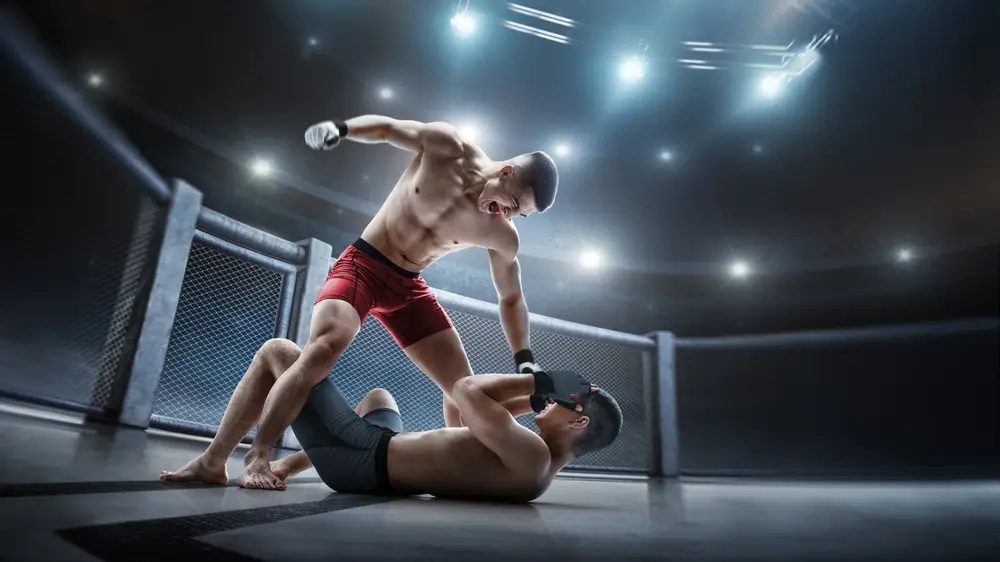 MMA odds
