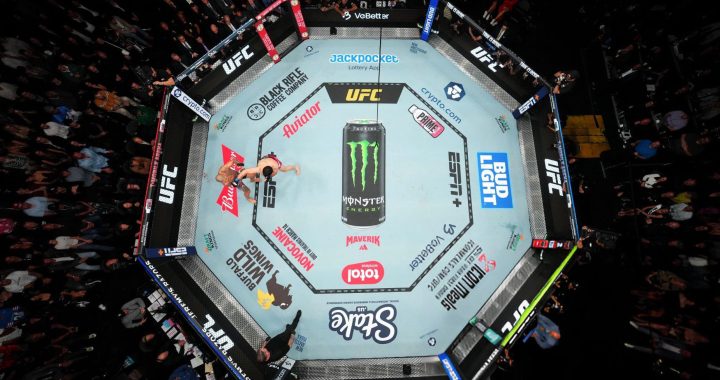 UFC betting partnerships