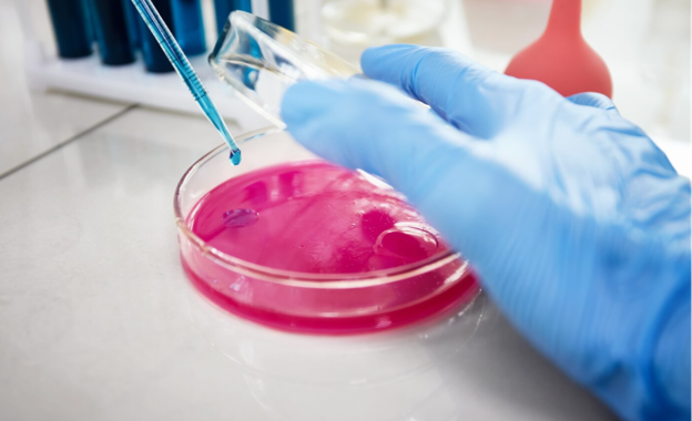 cell culture, cell culture bags