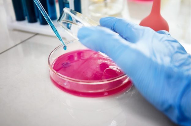 cell culture, cell culture bags