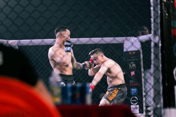 UFC betting odds