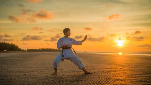 Martial Arts Schools