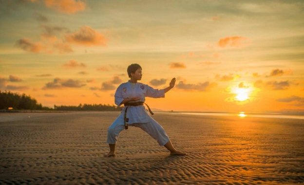 Martial Arts Schools