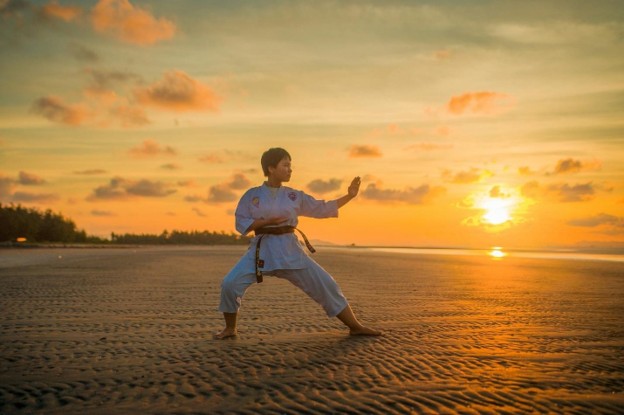 Martial Arts Schools