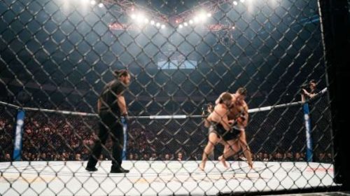 Mixed Martial Arts